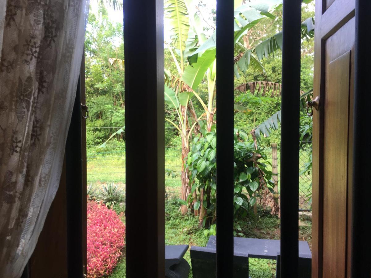 Owls Nest Hotell Udawalawe Exteriör bild