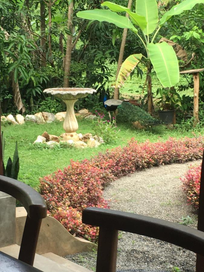 Owls Nest Hotell Udawalawe Exteriör bild