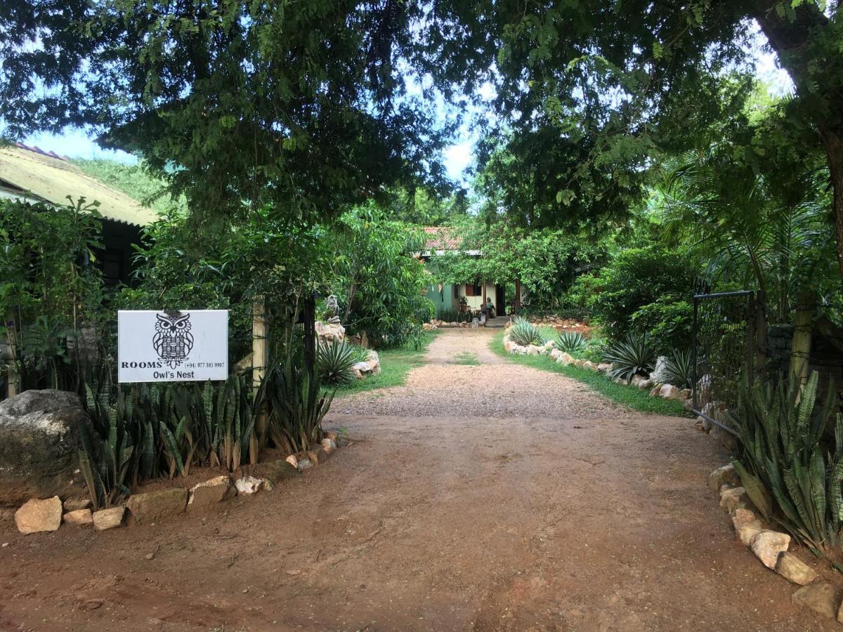 Owls Nest Hotell Udawalawe Exteriör bild